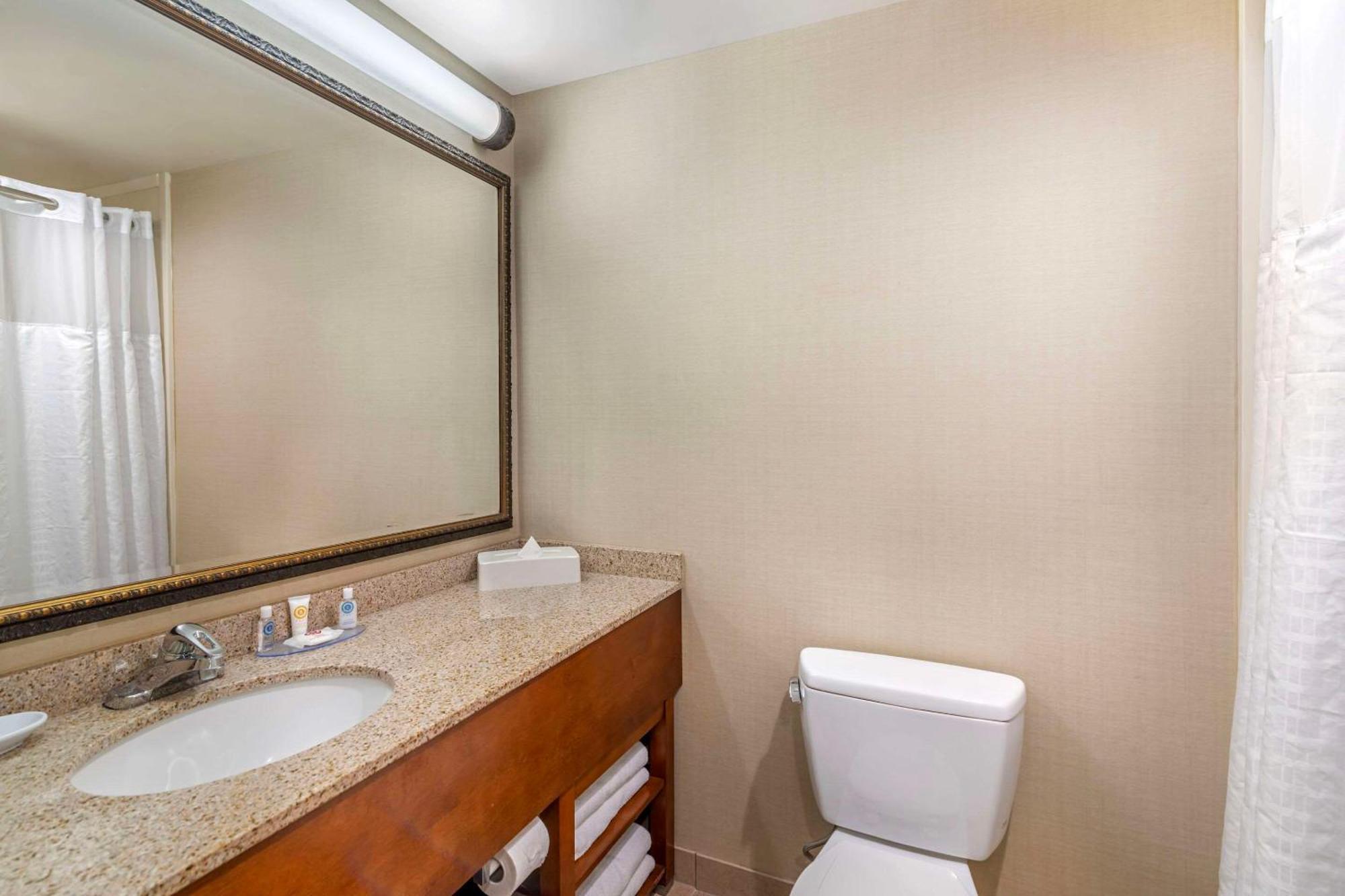 Comfort Inn & Suites Dover-Portsmouth Bagian luar foto